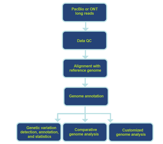 Analysis Pipeline and Contents-CD Genomics.