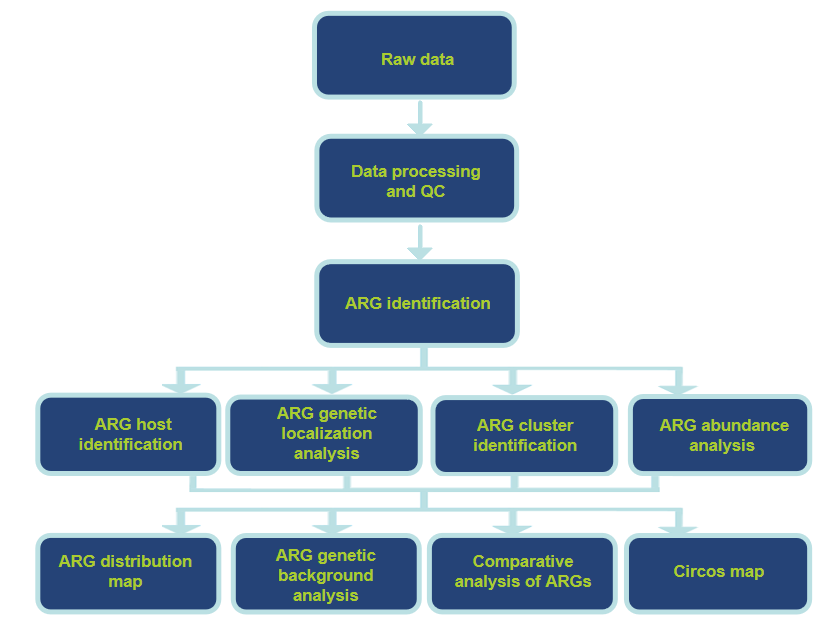 Analysis Pipeline -CD Genomics.