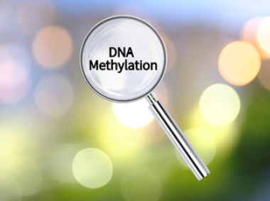 Magnifying lens over background with text DNA Methylation.