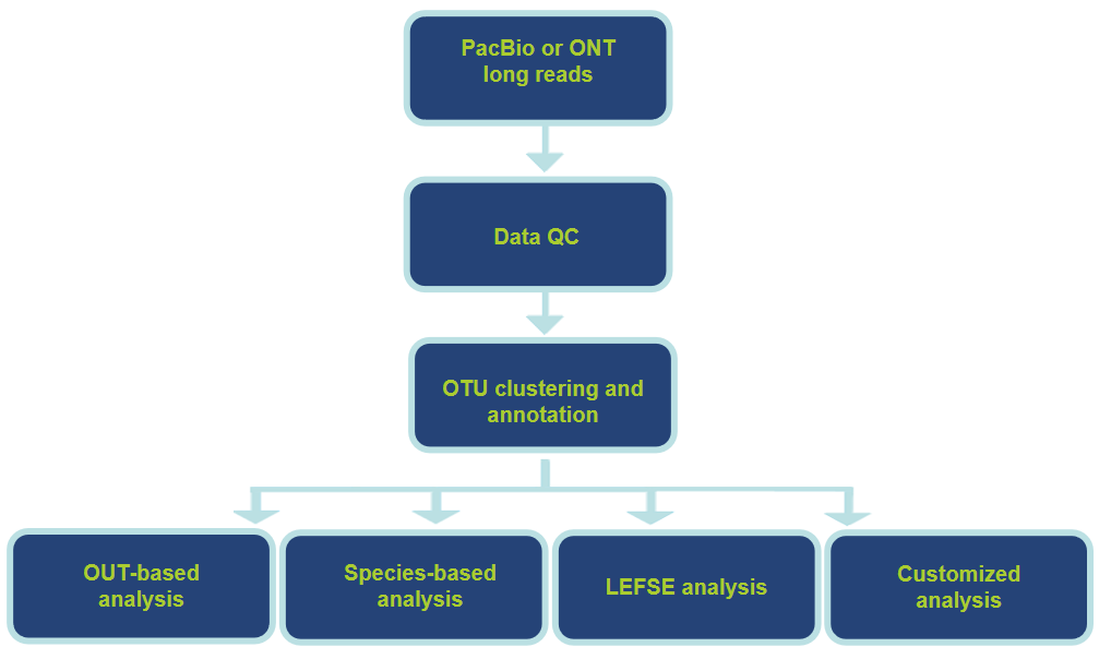 Analysis Workflow-CD Genomics.