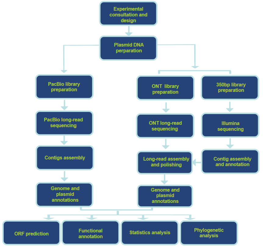 Technology Pipeline -CD Genomics.