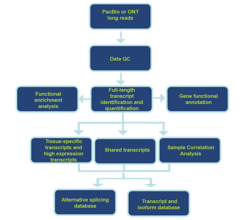 Analysis Pipeline and Contents-CD Genomics.