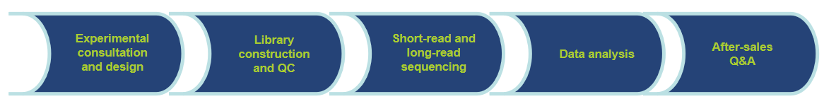 Workflow of Our Services-CD Genomics.