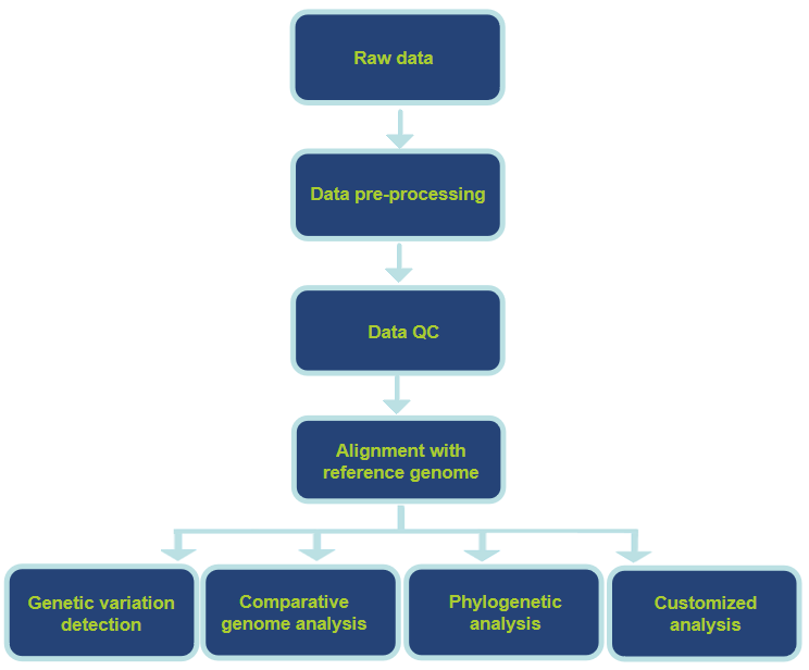 Data Analysis Contents -CD Genomics