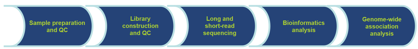 Workflow of Our Service-CD Genomics.