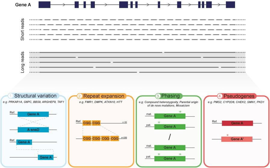 Overview of the main advantages of current long-read sequencing (LRS) approaches in medical genetics.