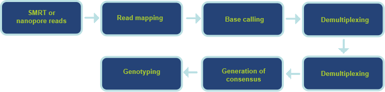 Workflow of our services.-CD Genomics