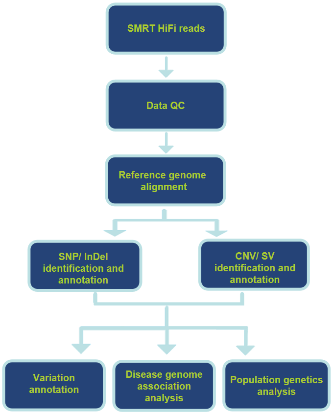 Analysis Pipeline.-CD Genomics