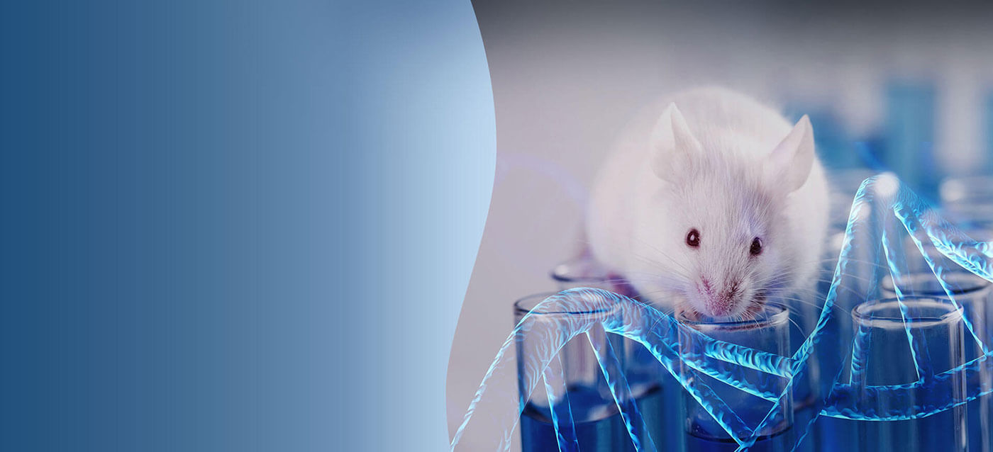 Human Whole Genome Sequencing 
