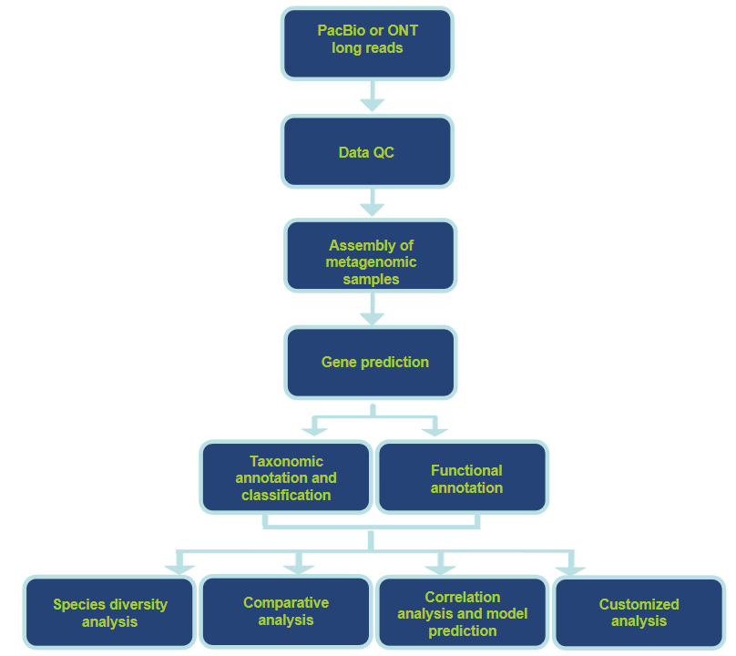 Analysis Workflow-CD Genomics.