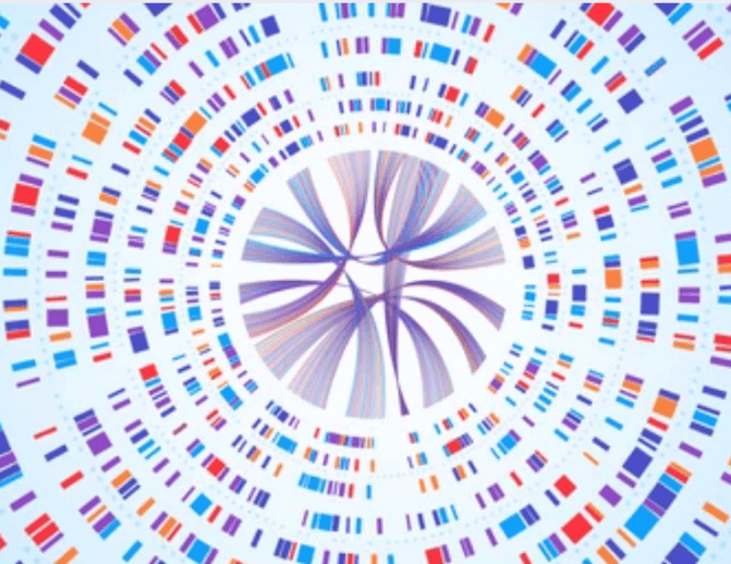 Dna sequence visualization, genetic mapping, gene barcoding.