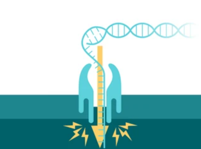 RNA molecule.