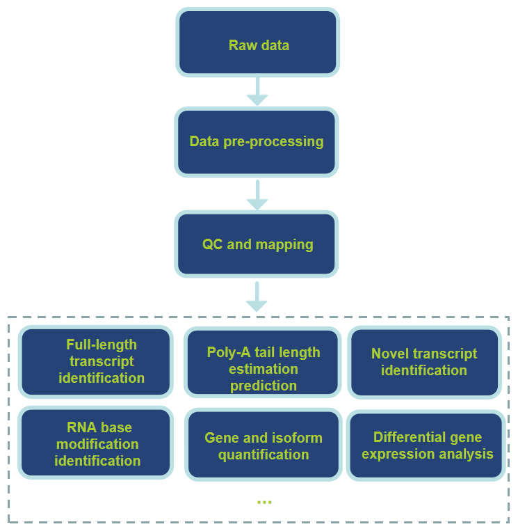 Workflow of Data Analysis-CD Genomics