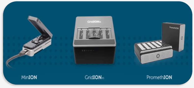 Major ONT systems are all available at CD Genomics.