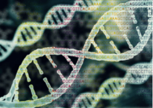 3D rendering of DNA and protein sequences.