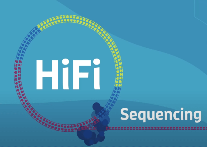 High-Fidelity (HiFi) reads and cyclic consistent sequencing (CCS) analysis