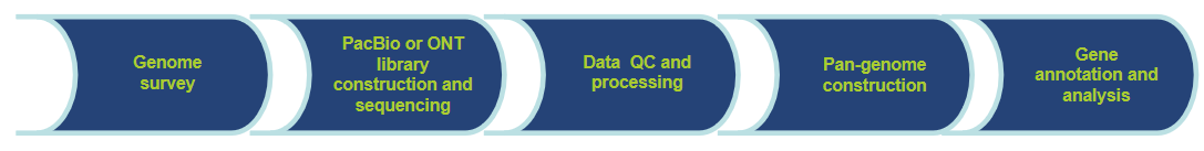 Workflow of Our Services-CD Genomics