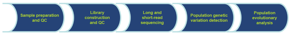 Workflow of Our Service-CD Genomics.