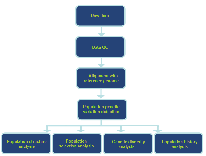 Analysis Workflow-CD Genomics.