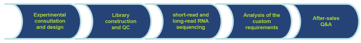 Workflow of Our Service-CD Genomics.