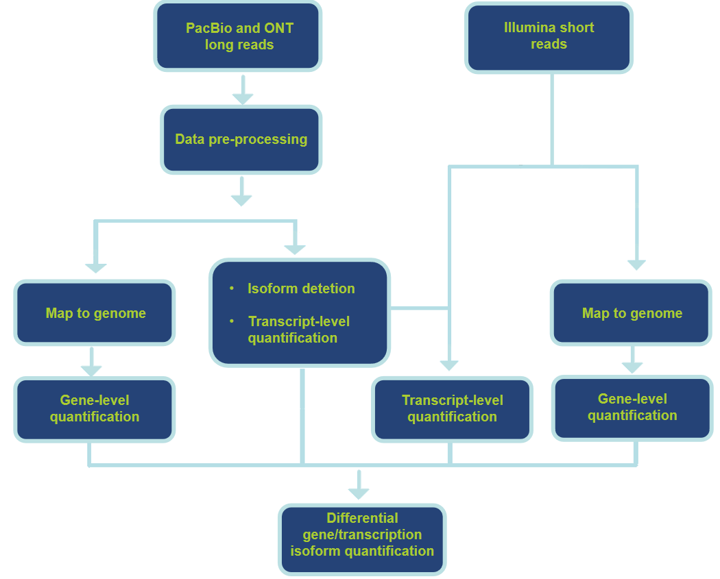 Analysis Pipeline and Contents-CD Genomics.