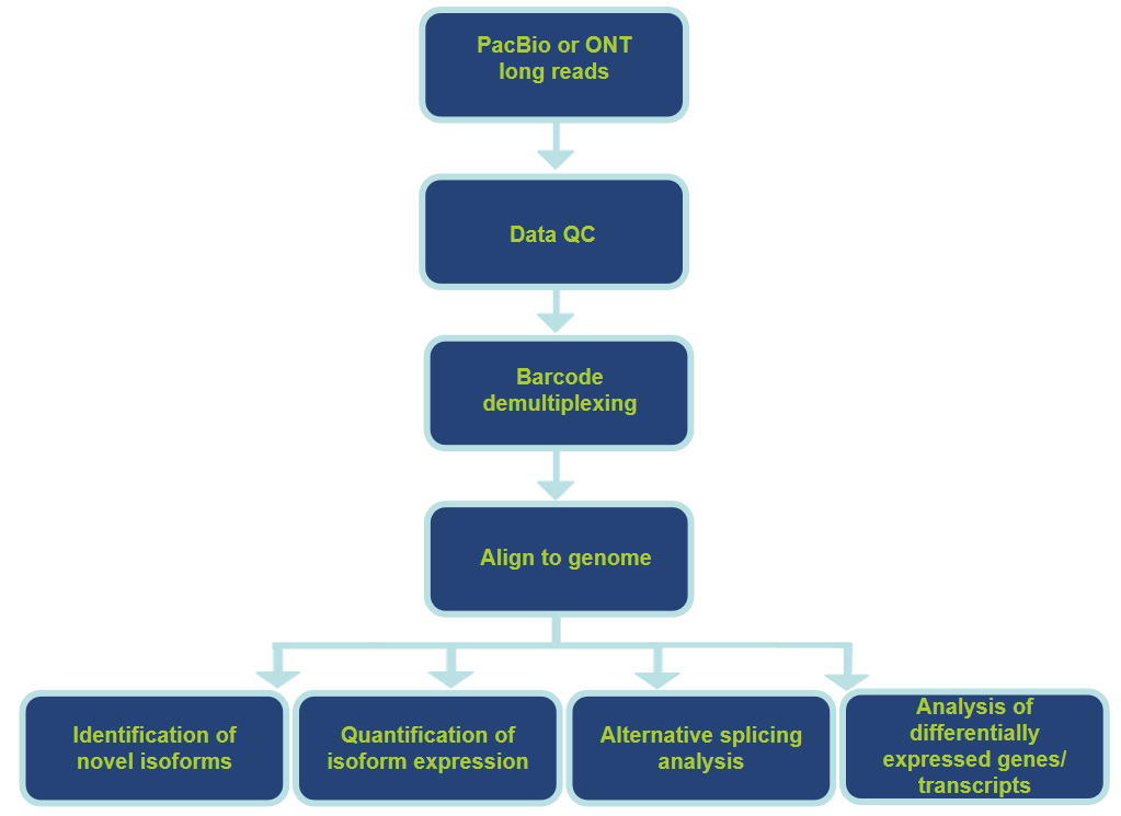 Analysis Pipeline and Contents-CD Genomics.