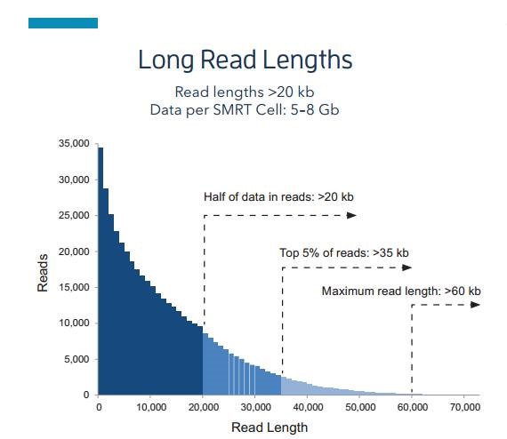 Ultra-long sequencing read lengths