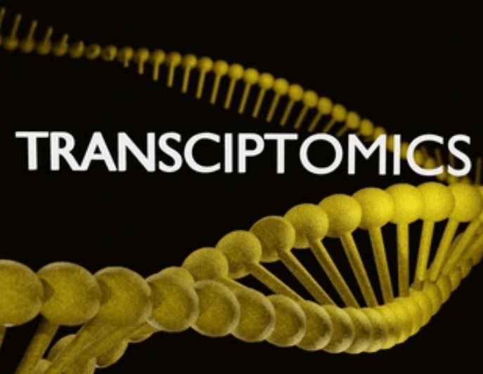 Transcriptomics with RNA and DNA.