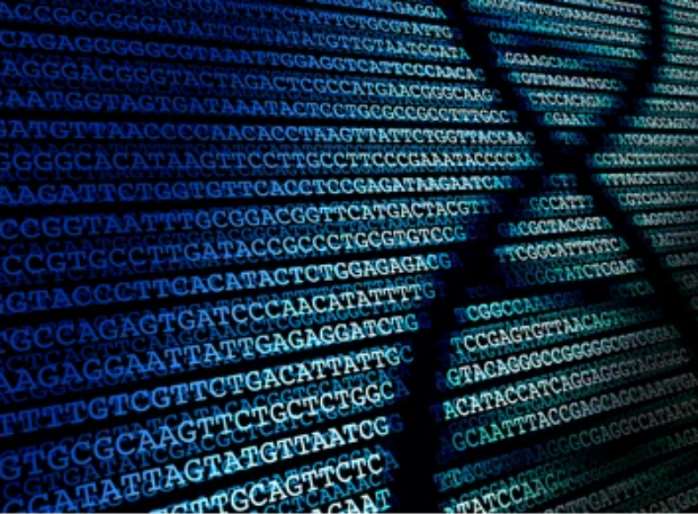 DNA sequences.