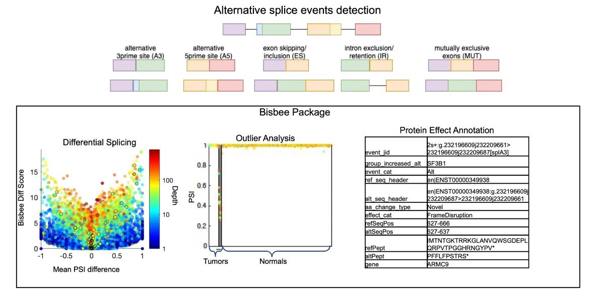 Alternative Splicing Analysis