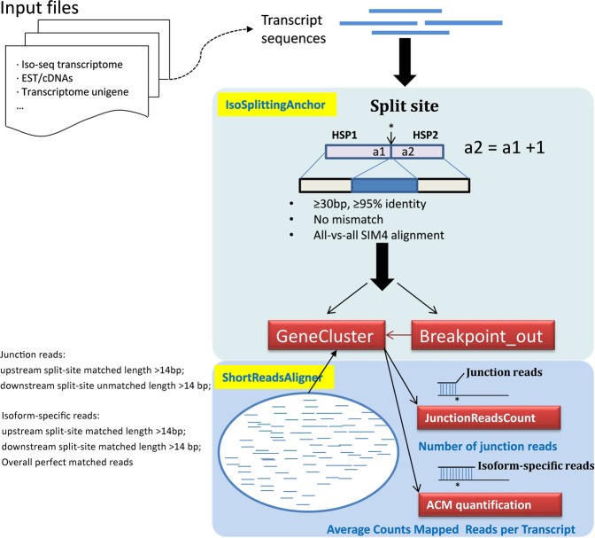 Alternative Splicing Analysis