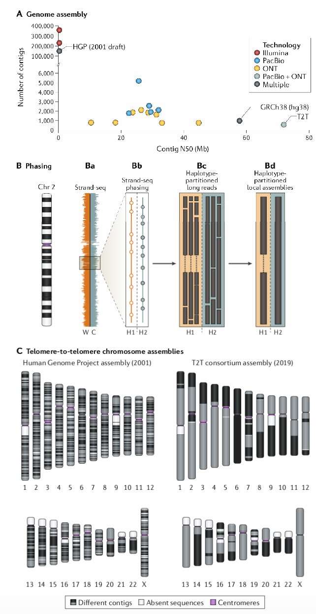 nanopore 16S rRNA gene sequencing process 