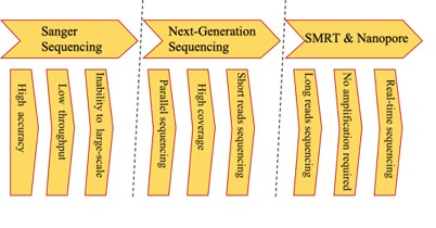 Mitochondrial DNA sequencing technology advancements.