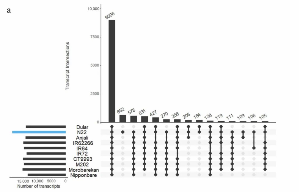 Identification of common and specific transcripts of all varieties.