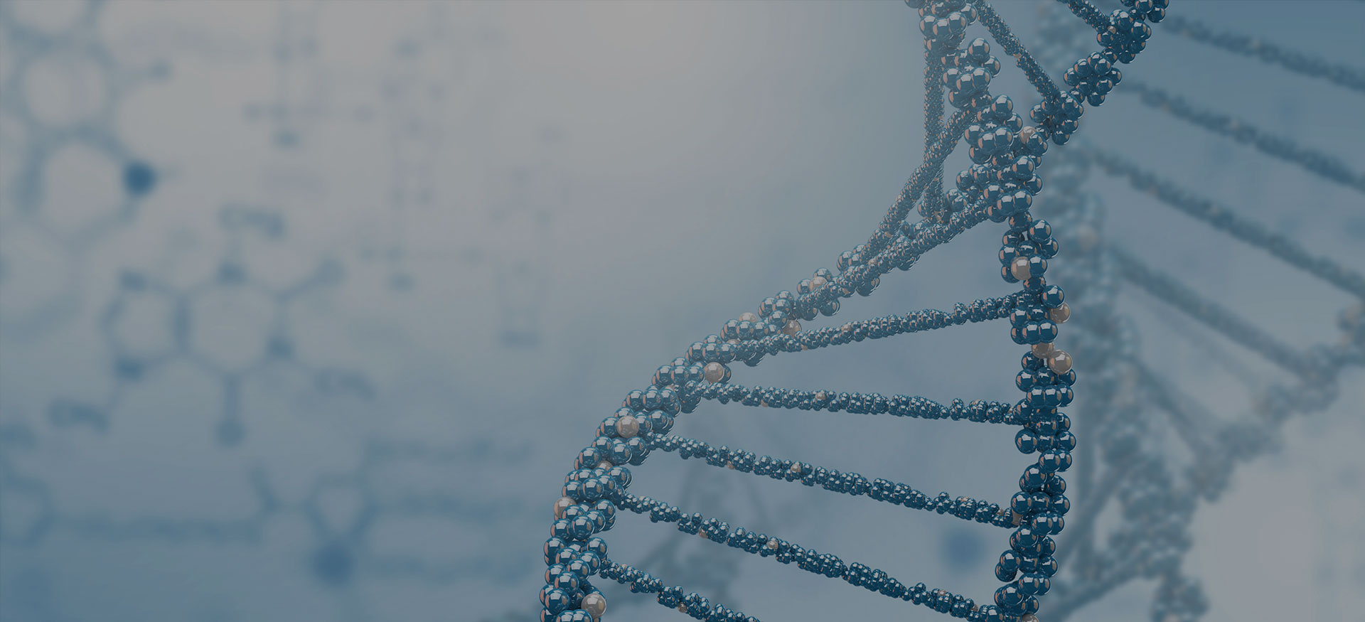 Human Whole Genome Sequencing 