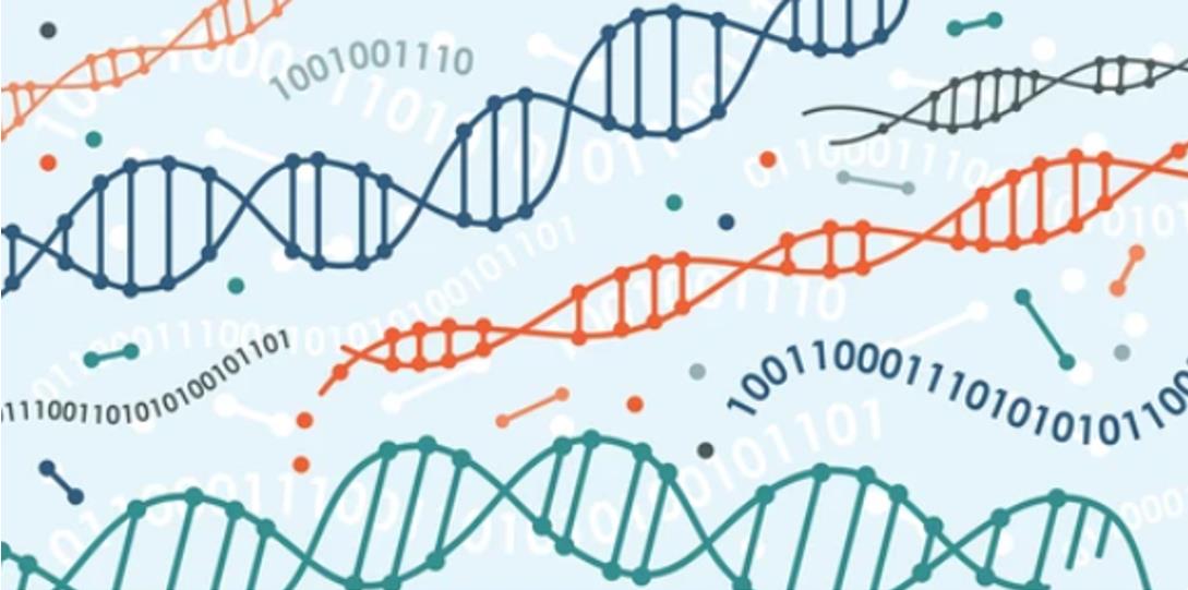 Nanopore Sequencing 101: Bioinformatics Analysis of ONT Data 