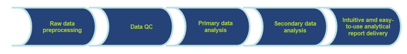 Workflow of bioinformatics analysis – CD Genomics