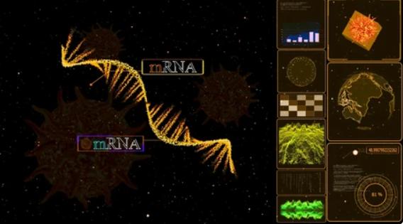 Challenges in Defining mRNA Transcript Boundaries Using Long-Read Sequencing