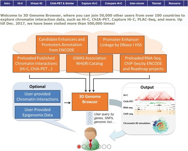 Figure 2.3D Genome Browser: HiChIP, PLAC-seq data visualization.