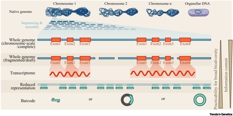 Conservation Genomics