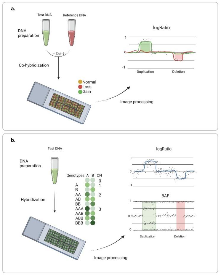 Copy Number Variation Analysis