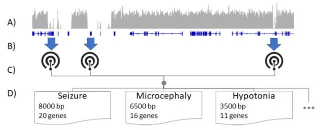 Copy Number Variation Analysis