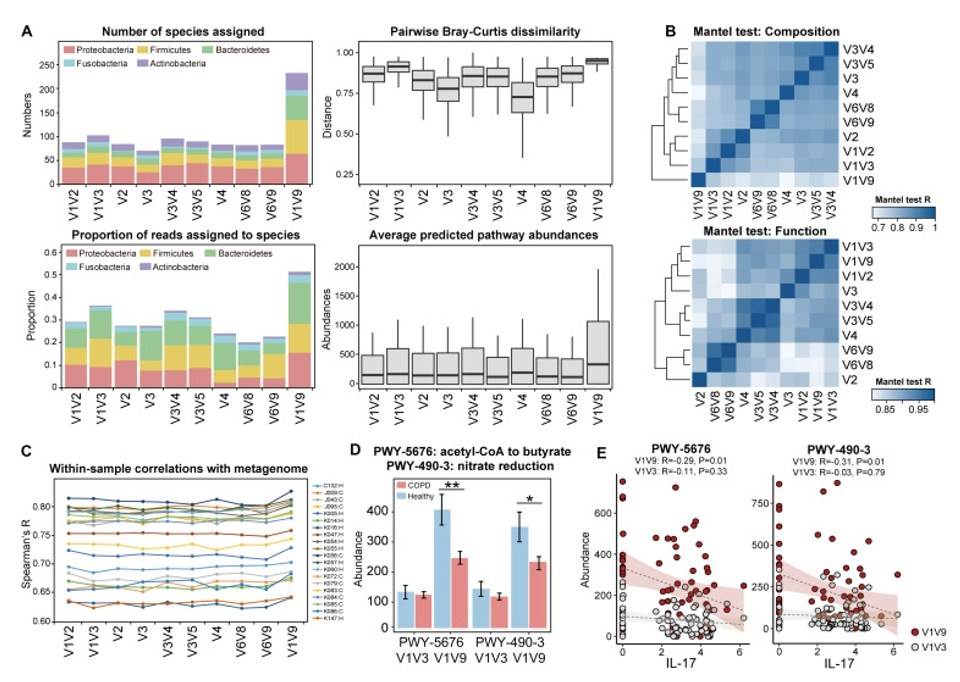 The predicted functions of the 16s sequencing and metagenome.