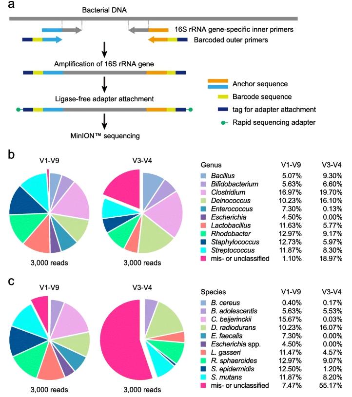 Full-Length 16S Sequencing