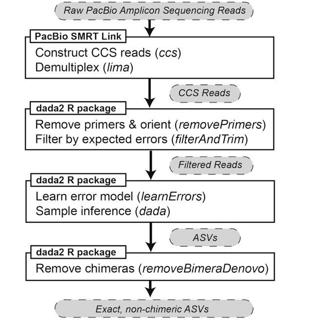 Full-Length 16S Sequencing