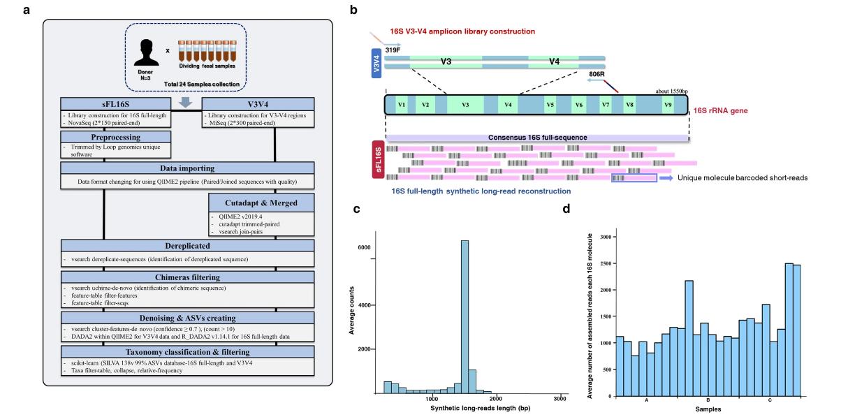 Full-Length 16S Sequencing