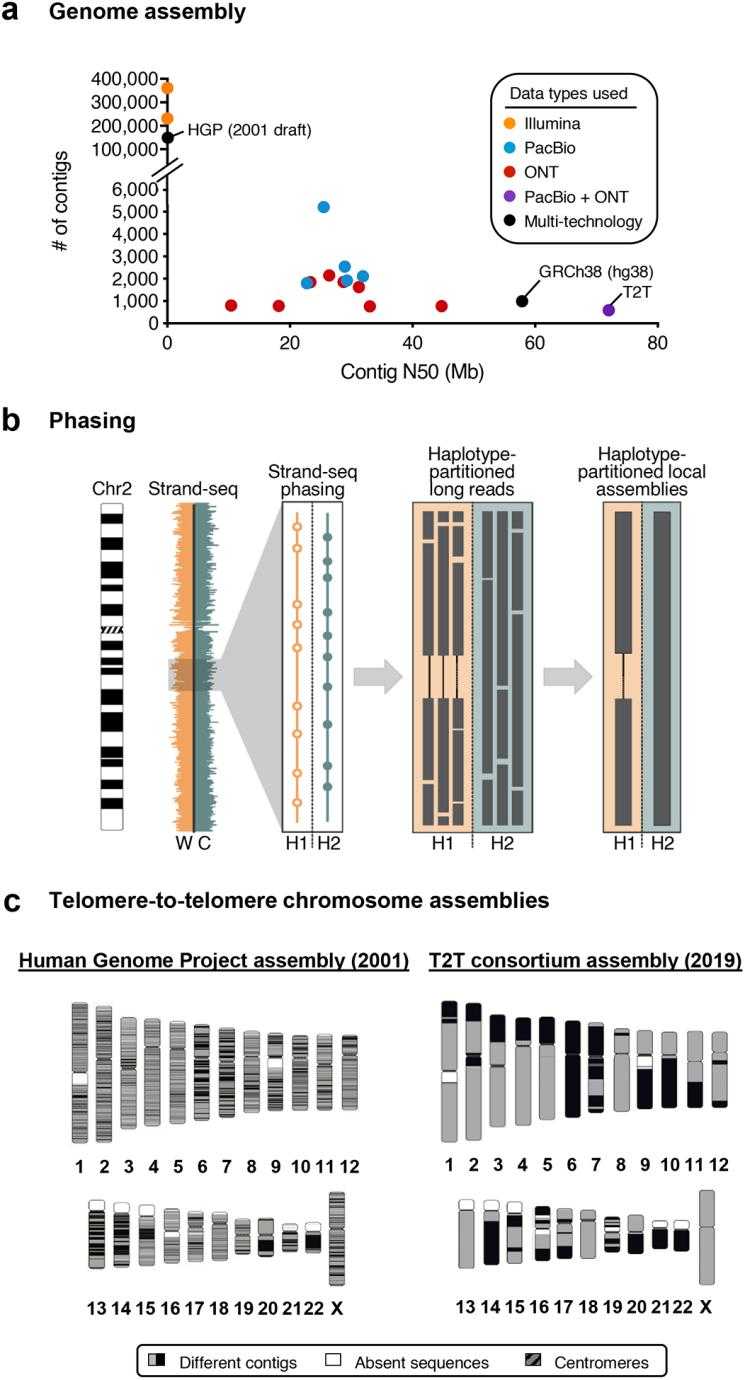 Generate Genome Assemblies Using Long Sequencing Reads