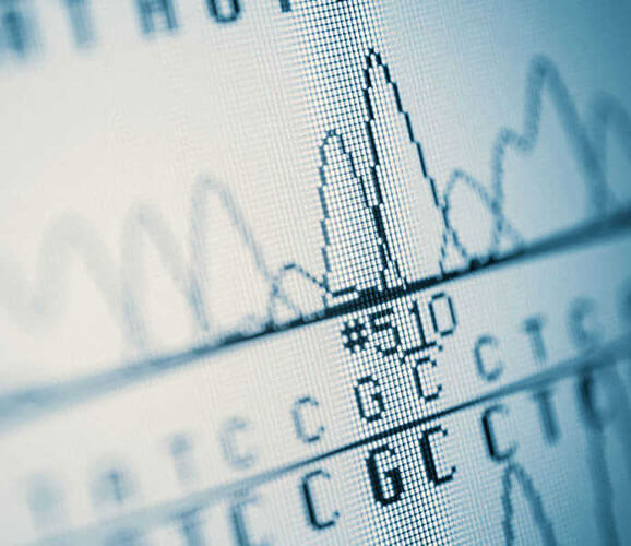 Long-Read Sequencing