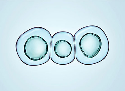 Epigenetics and Methylation Analysis