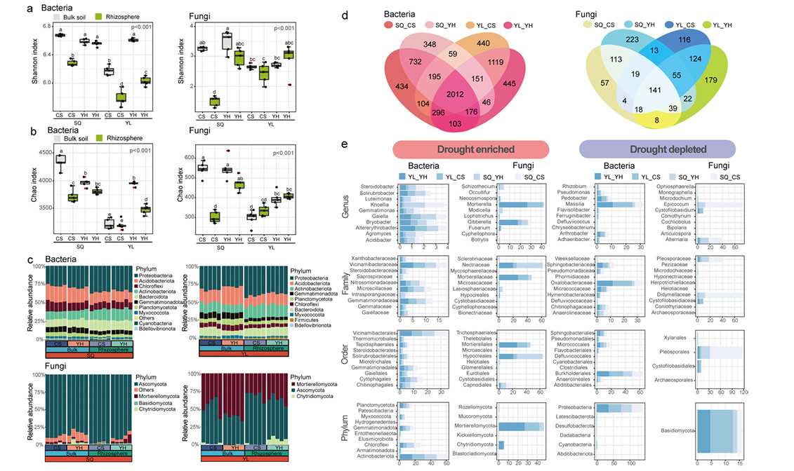 Patterns of soil microbiome diversity and the impacts of drought stress on the enrichment of bacterial and fungal taxa (Yue et al., 2024)